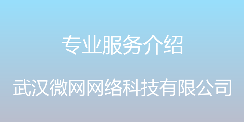 专业服务介绍 - 武汉微网网络科技有限公司