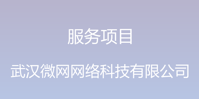 服务项目 - 武汉微网网络科技有限公司