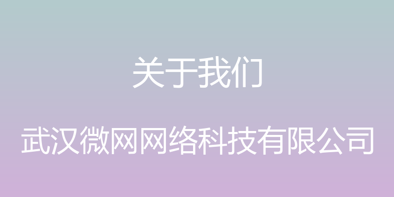 关于我们 - 武汉微网网络科技有限公司