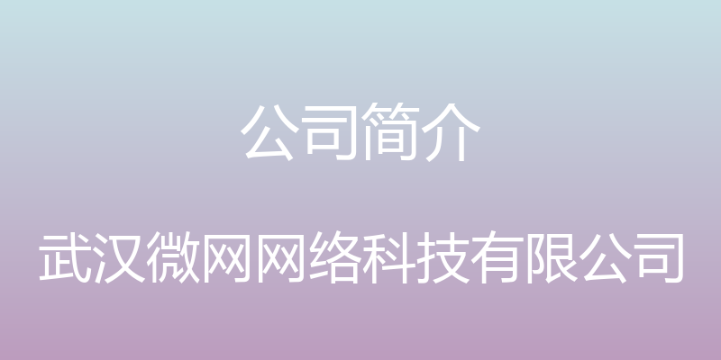 公司简介 - 武汉微网网络科技有限公司