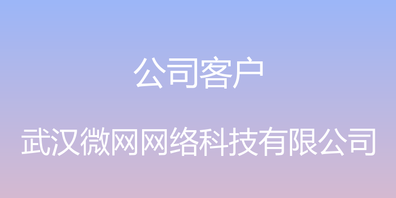 公司客户 - 武汉微网网络科技有限公司