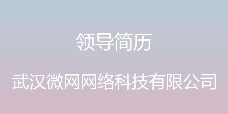 领导简历 - 武汉微网网络科技有限公司