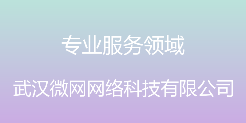 专业服务领域 - 武汉微网网络科技有限公司