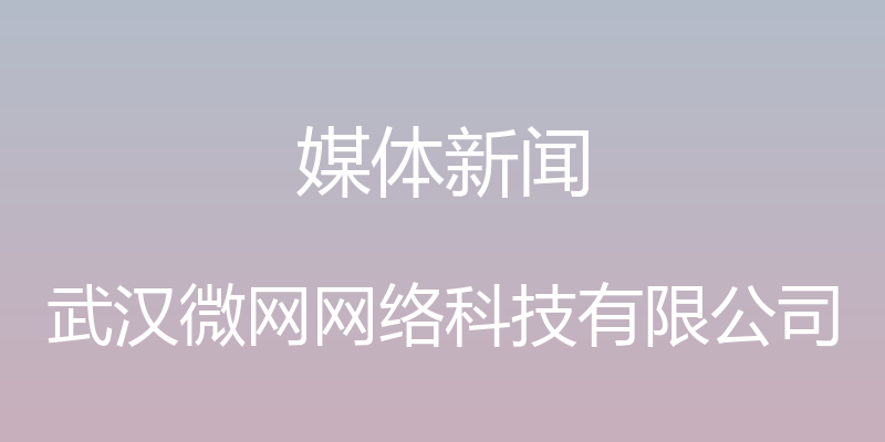 媒体新闻 - 武汉微网网络科技有限公司