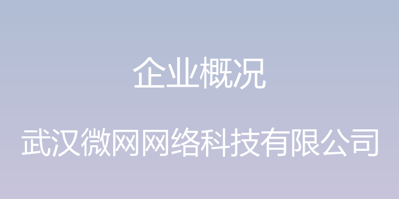 企业概况 - 武汉微网网络科技有限公司