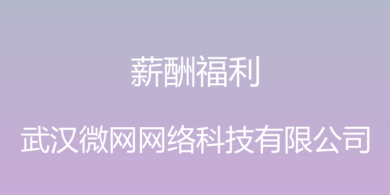 薪酬福利 - 武汉微网网络科技有限公司