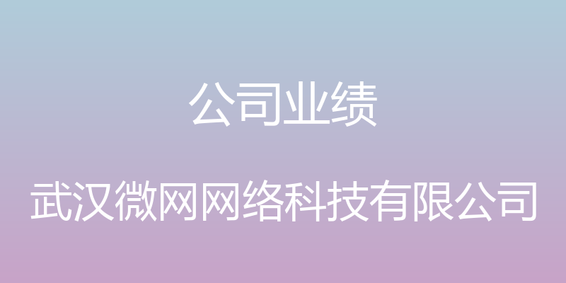 公司业绩 - 武汉微网网络科技有限公司