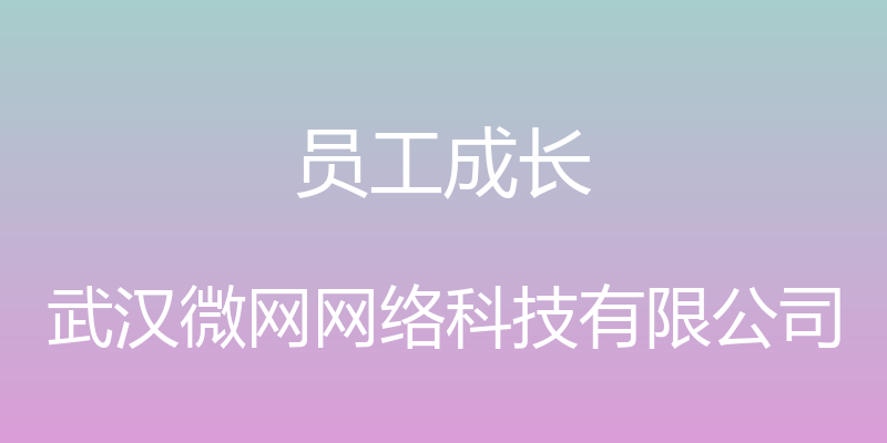 员工成长 - 武汉微网网络科技有限公司