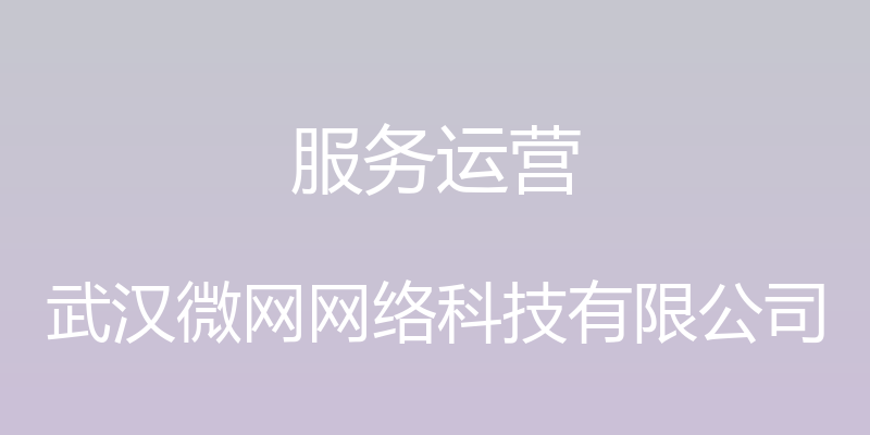 服务运营 - 武汉微网网络科技有限公司