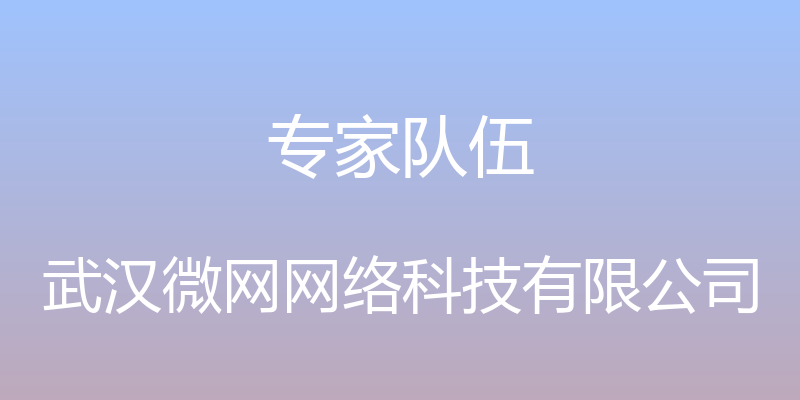 专家队伍 - 武汉微网网络科技有限公司