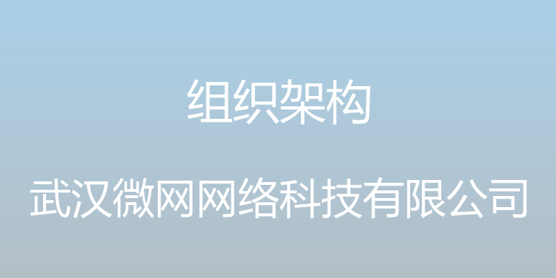 组织架构 - 武汉微网网络科技有限公司